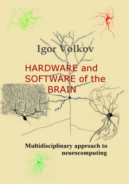 Hardware and software of the brain