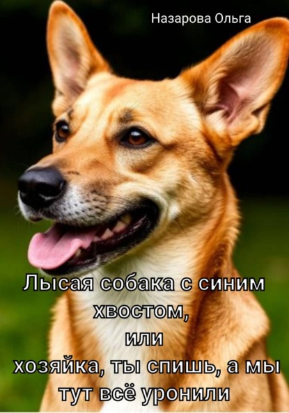 Лысая собака с синим хвостом, или хозяйка, ты спишь, а мы тут всё уронили!