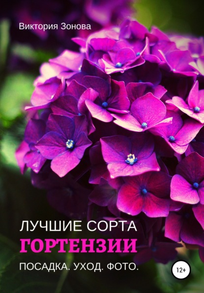 Гортензии. Лучшие сорта