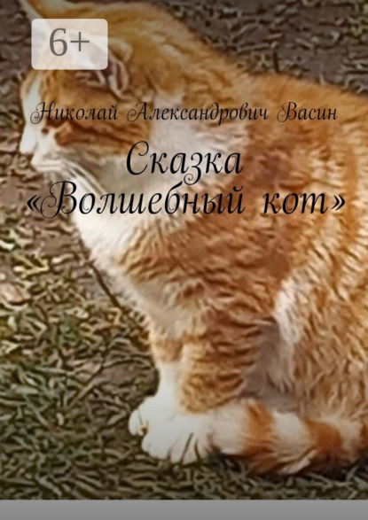 Сказка «Волшебный кот»