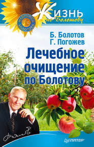 бесплатно читать книгу Лечебное очищение по Болотову автора Борис Болотов