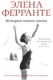 бесплатно читать книгу История нового имени автора Элена Ферранте