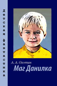 бесплатно читать книгу Маг Данилка автора Александр Охотин