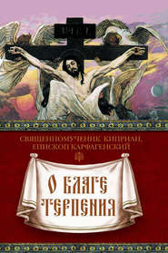 бесплатно читать книгу О благе терпения автора священномученик Киприан Карфагенский